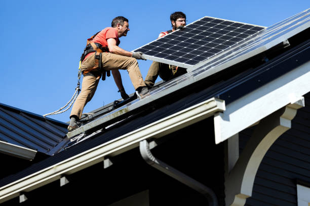 Best Roof Moss and Algae Removal  in Hinckley, MN